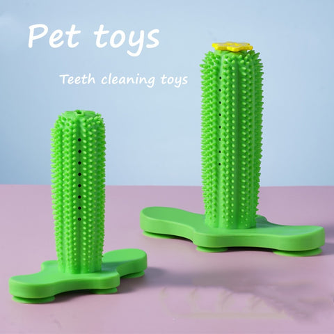 Toy and Tooth Cleaning  for Dog