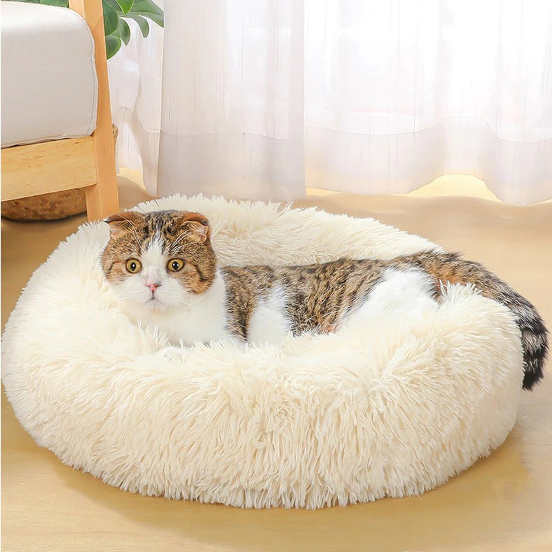 Jerwin- Best Pet Bed
