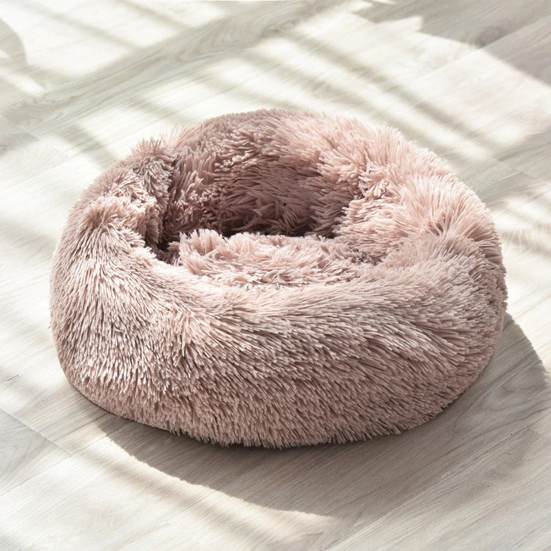 Jerwin- Best Pet Bed