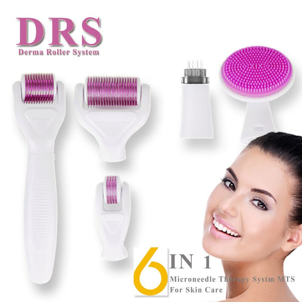 6 in 1 Derma Roller