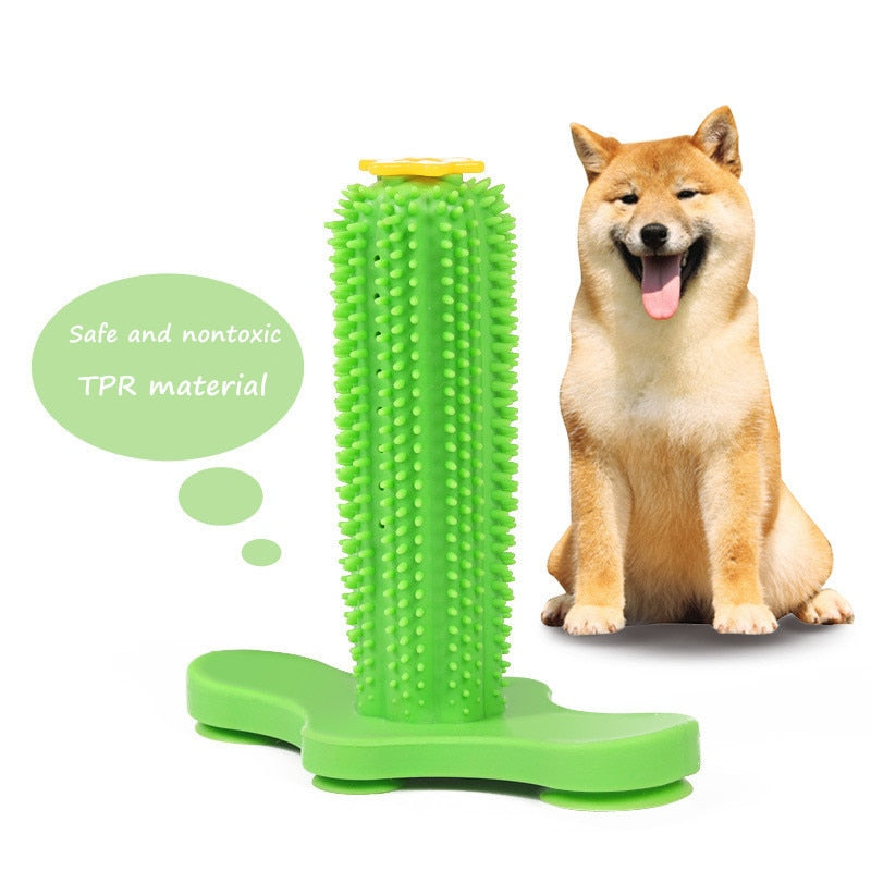 Toy and Tooth Cleaning  for Dog
