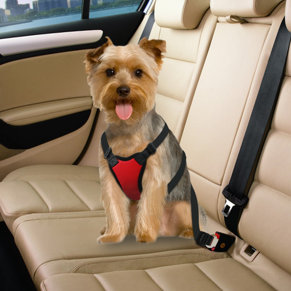 2 pcs  Dog Safety Car Seat