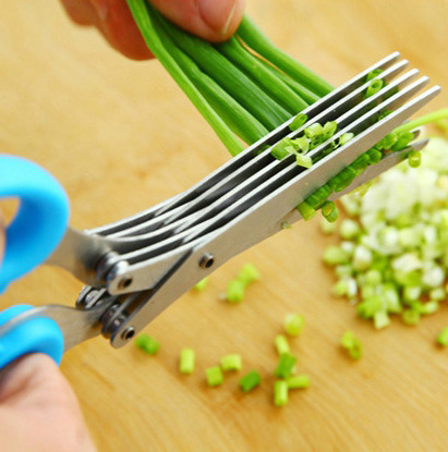 Tainless Steel Multi-function Kitchen Multi-layer Spice Chopped Green Onion Cut Five-layer Scissors
