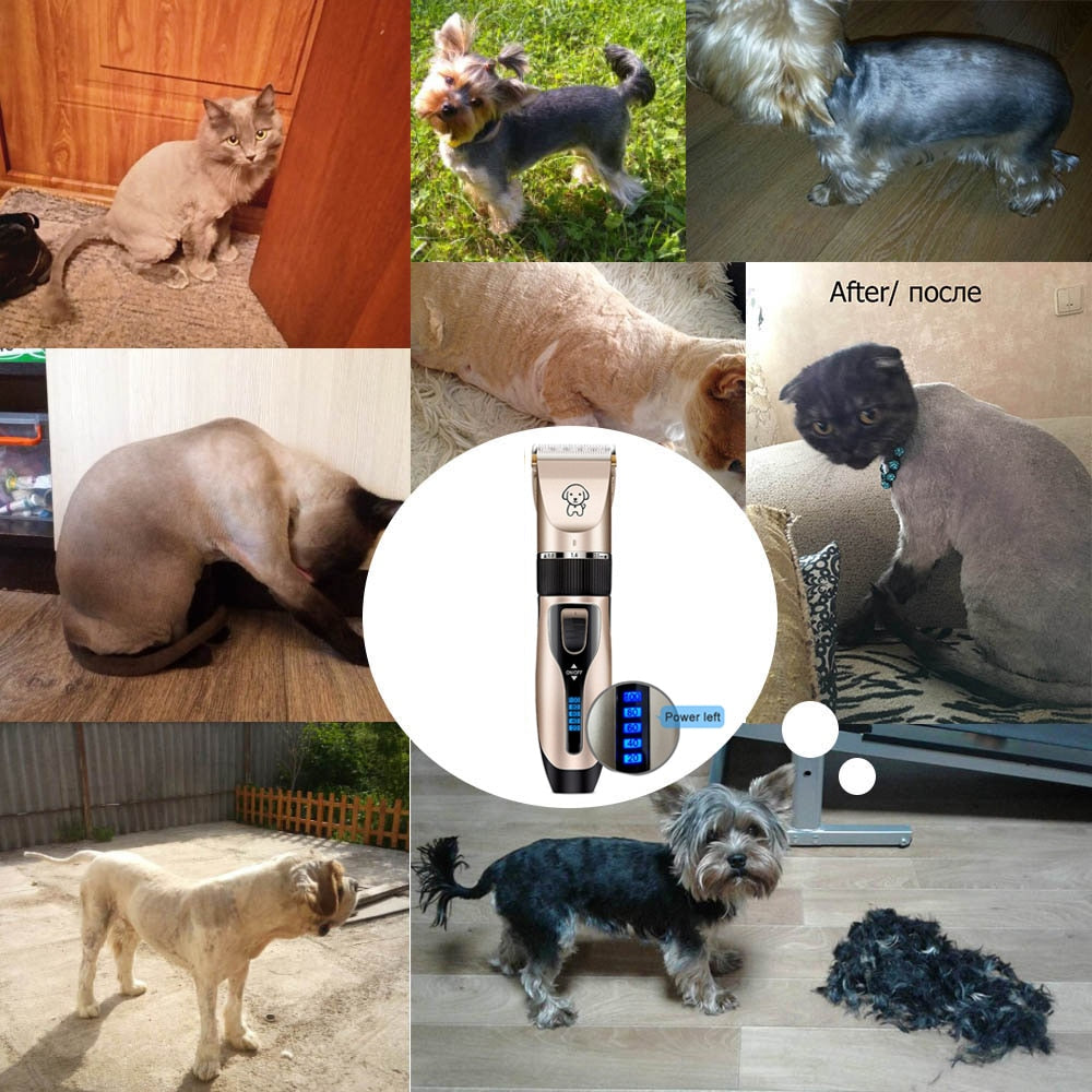 Trimmer for Pet