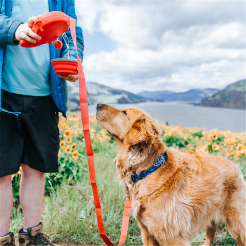 Pawlgo-Multi-Functional Dog Leash W/Built-In Water Bottle