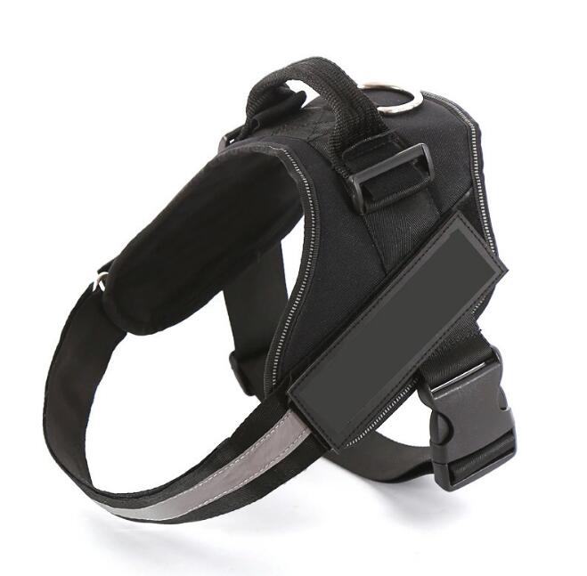 Strap N Walk-Personalized Safety Dog Harness