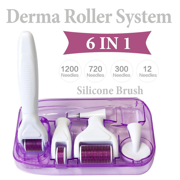 6 in 1 Derma Roller