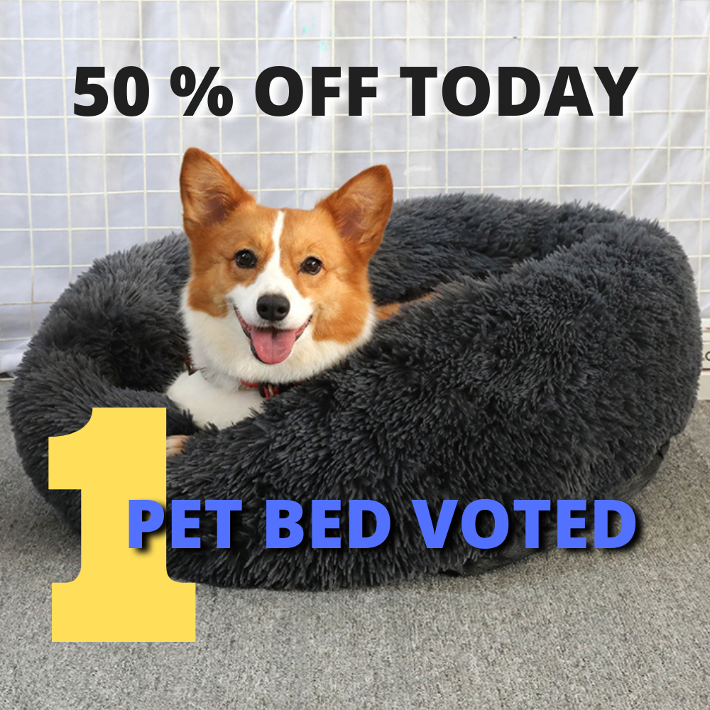 Jerwin- Best Pet Bed