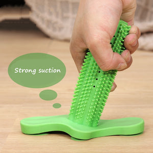 Toy and Tooth Cleaning  for Dog