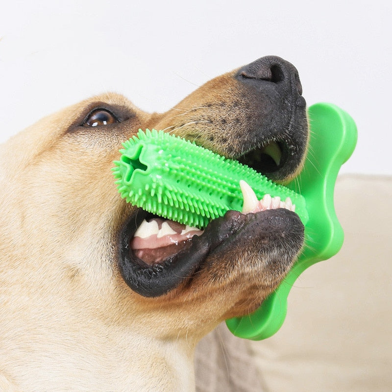 Toy and Tooth Cleaning  for Dog