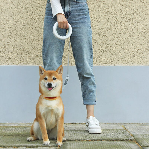 New Retractable Pet Leash