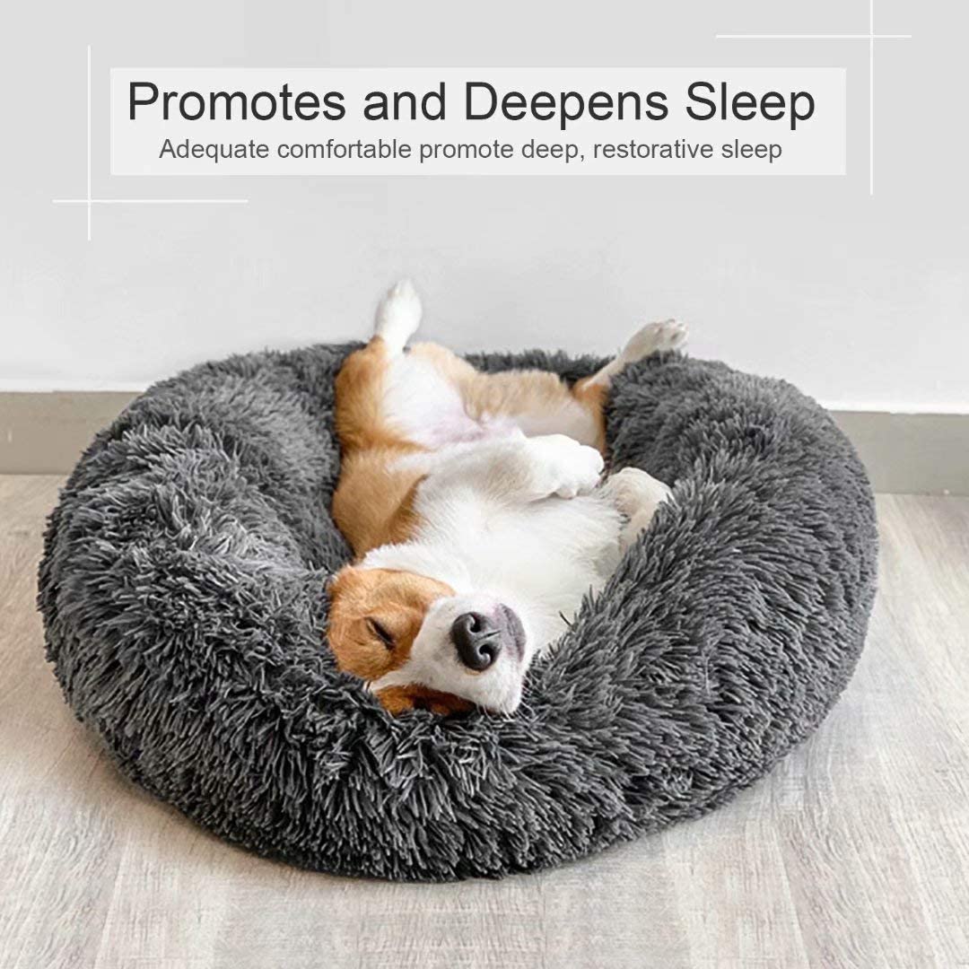 Jerwin-Best Pet Bed