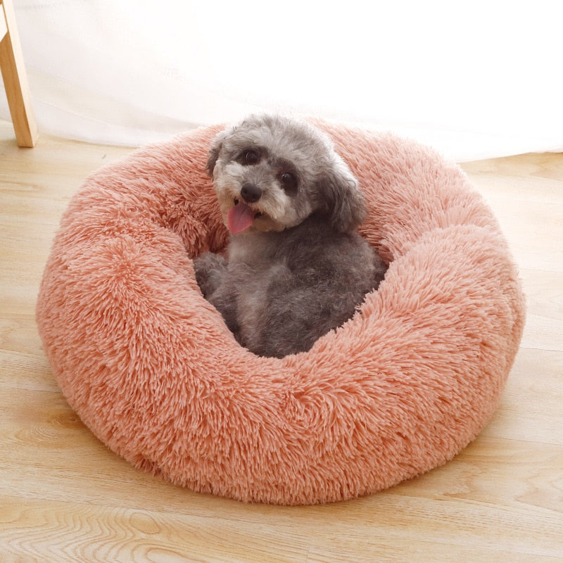 Jerwin-Best Pet Bed