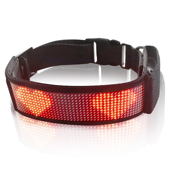 Luminous Pet Collar Bluetooth APP with message
