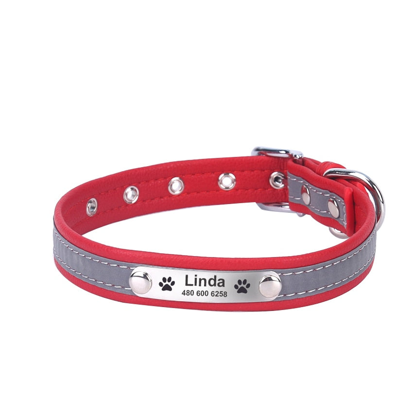2 in 1 Personalized & Reflective Pet  Collar