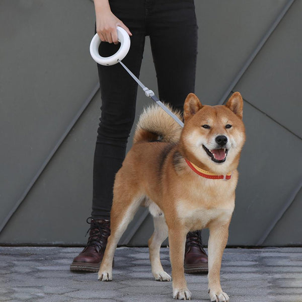New Retractable Pet Leash