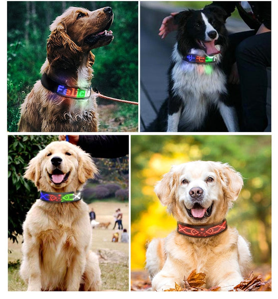 Luminous Pet Collar Bluetooth APP with message