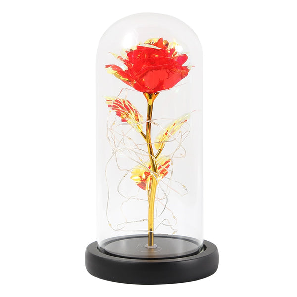 2020 LED Enchanted Galaxy Rose Eternal 24K Gold Foil Flower With Fairy String Lights In Dome For Christmas Valentine's Day Gift
