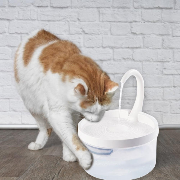 Pet Water Fountain
