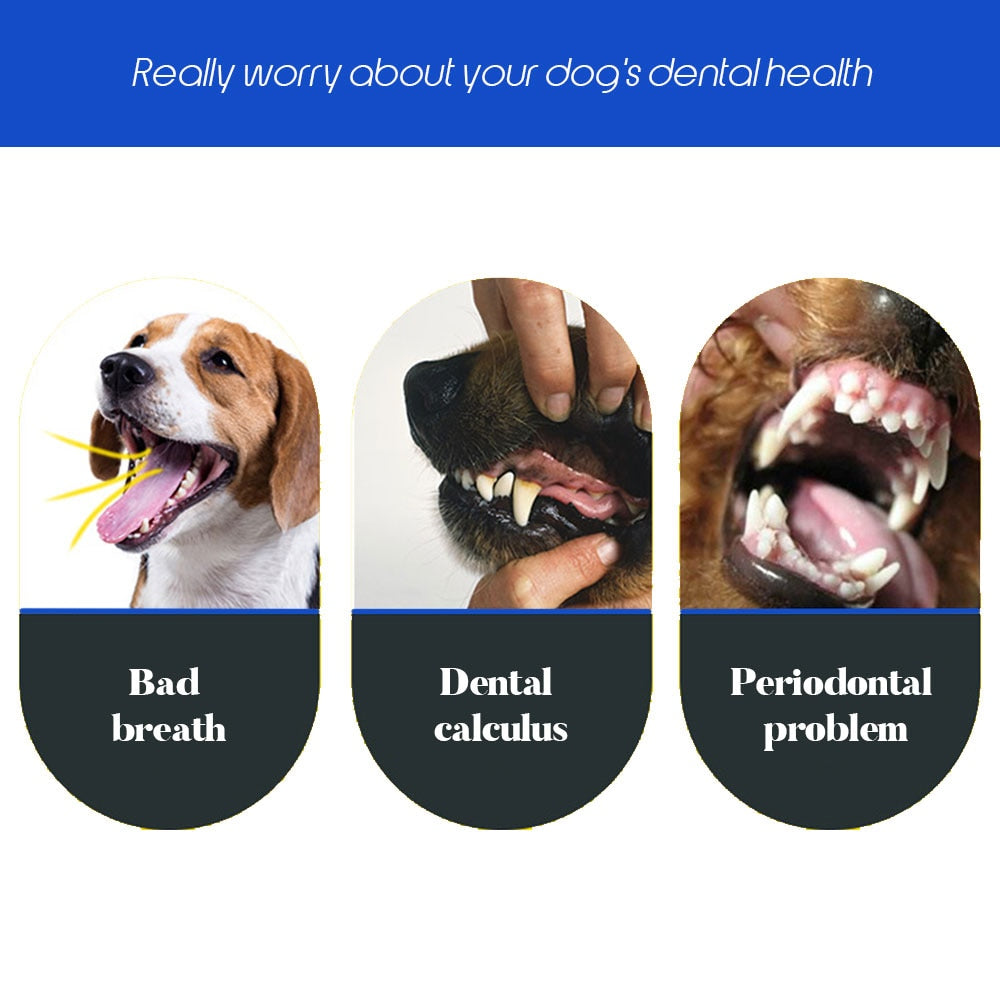 Dog Soft Toothbrush