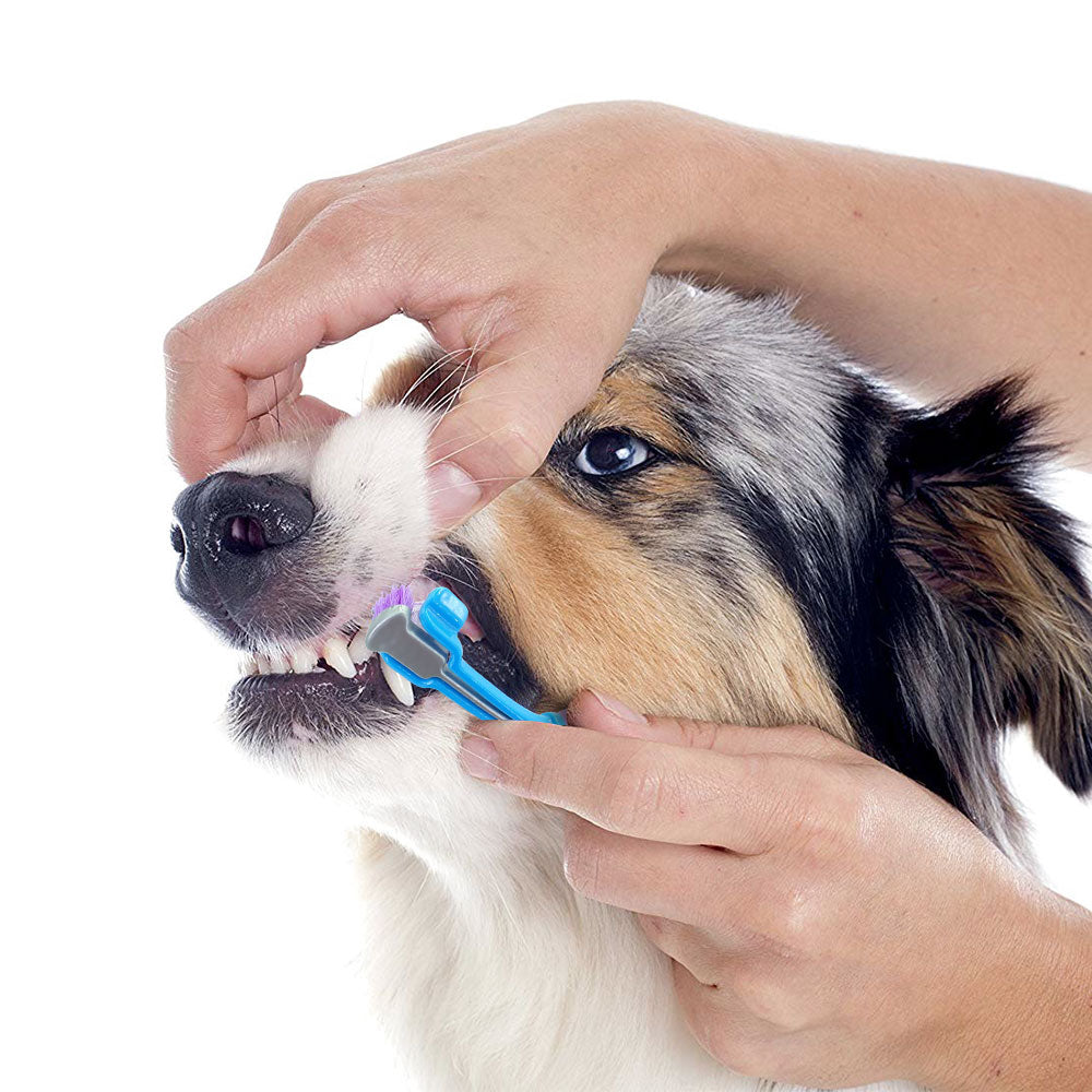 Dog Soft Toothbrush
