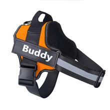 Strap N Walk-Personalized Safety Dog Harness