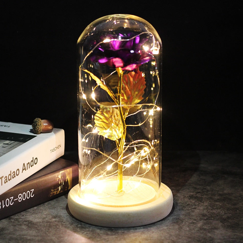 2020 LED Enchanted Galaxy Rose Eternal 24K Gold Foil Flower With Fairy String Lights In Dome For Christmas Valentine's Day Gift