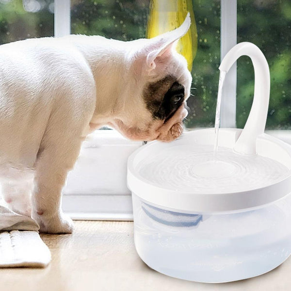Pet Water Fountain