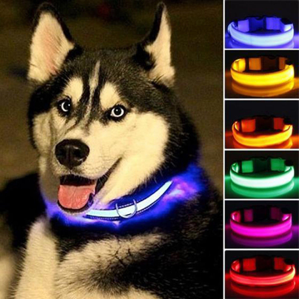Nylon LED Pet Collar
