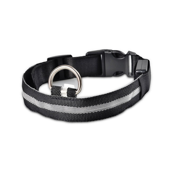 Nylon LED Pet Collar