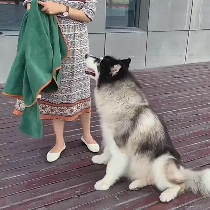 Pet Bathrobe-Towel