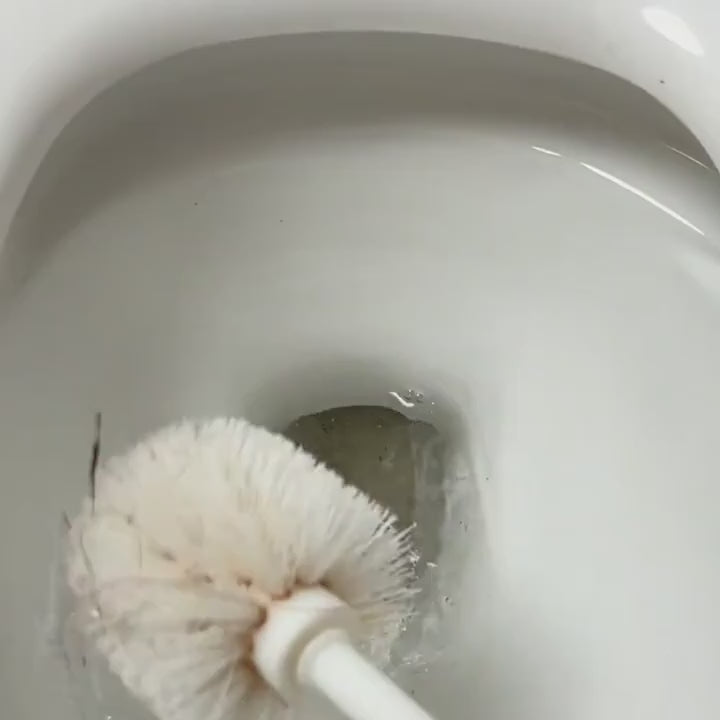 Cactus Toilet Brush