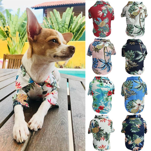 Jerwin- Dog Shirt