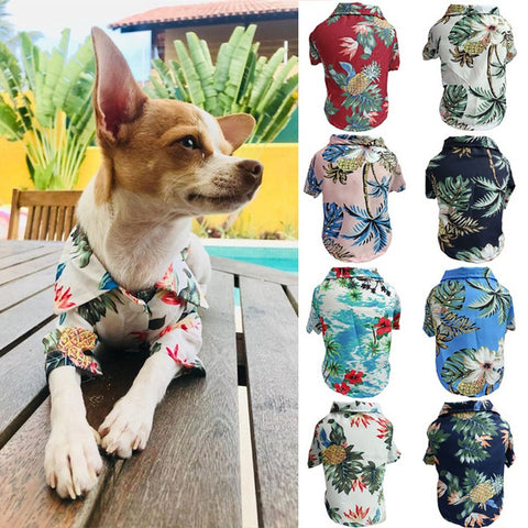Jerwin- Dog Shirt