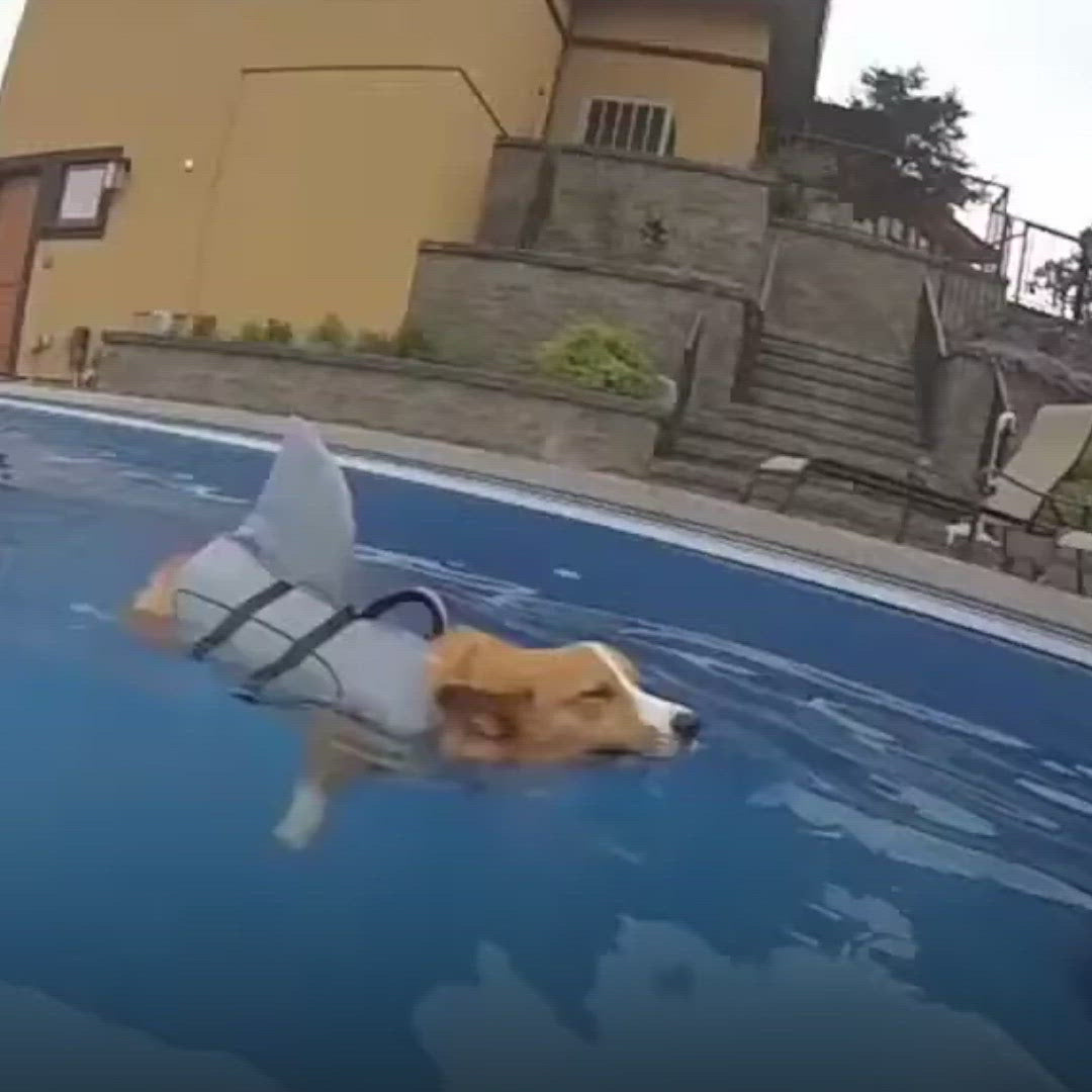 Summer Sale-50% OFF -SharkPal-Dog Vest