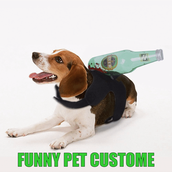 Pet Funny Custome